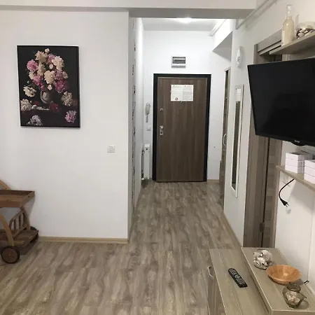 Delux Apartamente 2 *